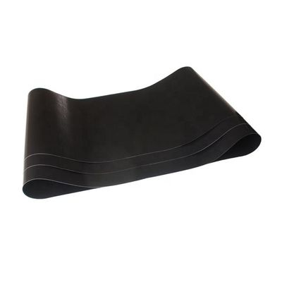 주문 SGS 이중 레이어 PTFE 이음매 없는 벨트 쉬운 일탈 낮은 강도 online manufacture
