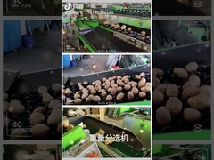 과일 세정과 선택 기계