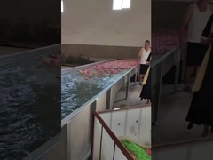 과일 세정과 선택 기계