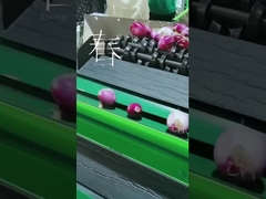 열매 남새 그레이더를 특화하세요