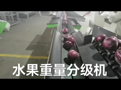 자동 전자적 과일 선별 장치와  무게 기계