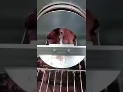 PU 물고기 뼈 분리 벨트, 뼈 제거 분리 벨트, 컨베이어 벨트