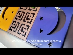 현대 건축 프로젝트용 맞춤형 독특한 조각 알루미늄 플레어